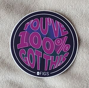 FIGS Stickera - You've 100% Got This
